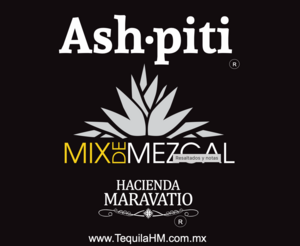 Logo Ashpiti
