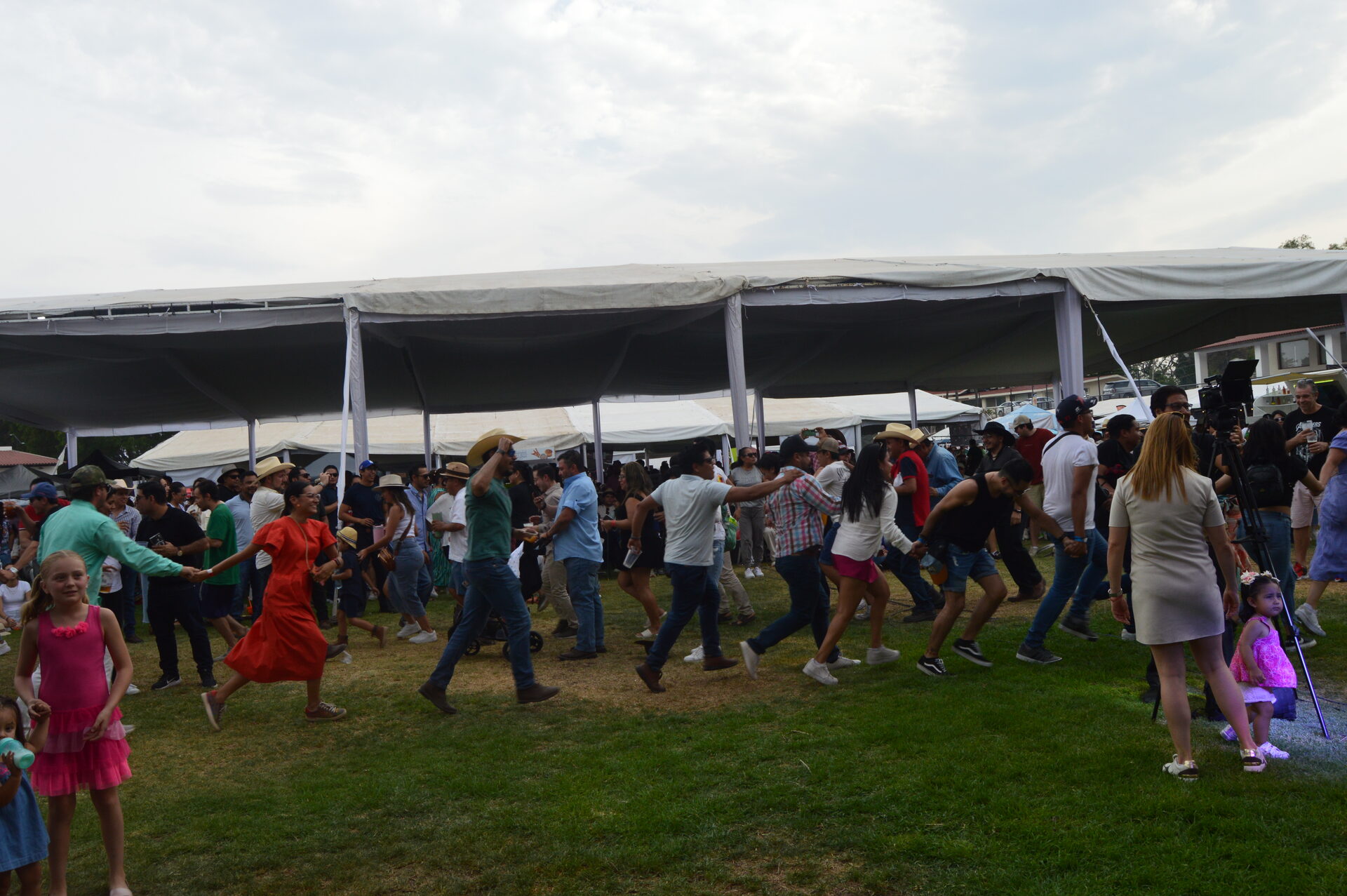 Multitud bailando y cantando al ritmo de la banda en vivo