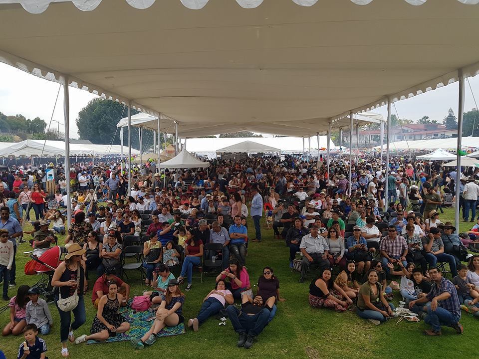 Multitud disfrutando del Festival del Asado